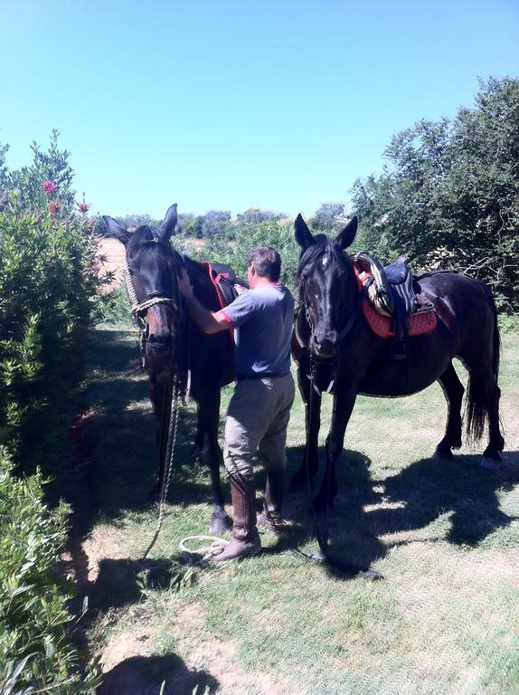 Agriturismo Prati Degli Orti Montiano  Εξωτερικό φωτογραφία