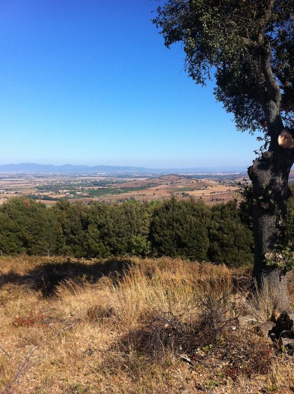 Agriturismo Prati Degli Orti Montiano  Εξωτερικό φωτογραφία